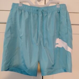 Puma Sky Blue Sports Shorts